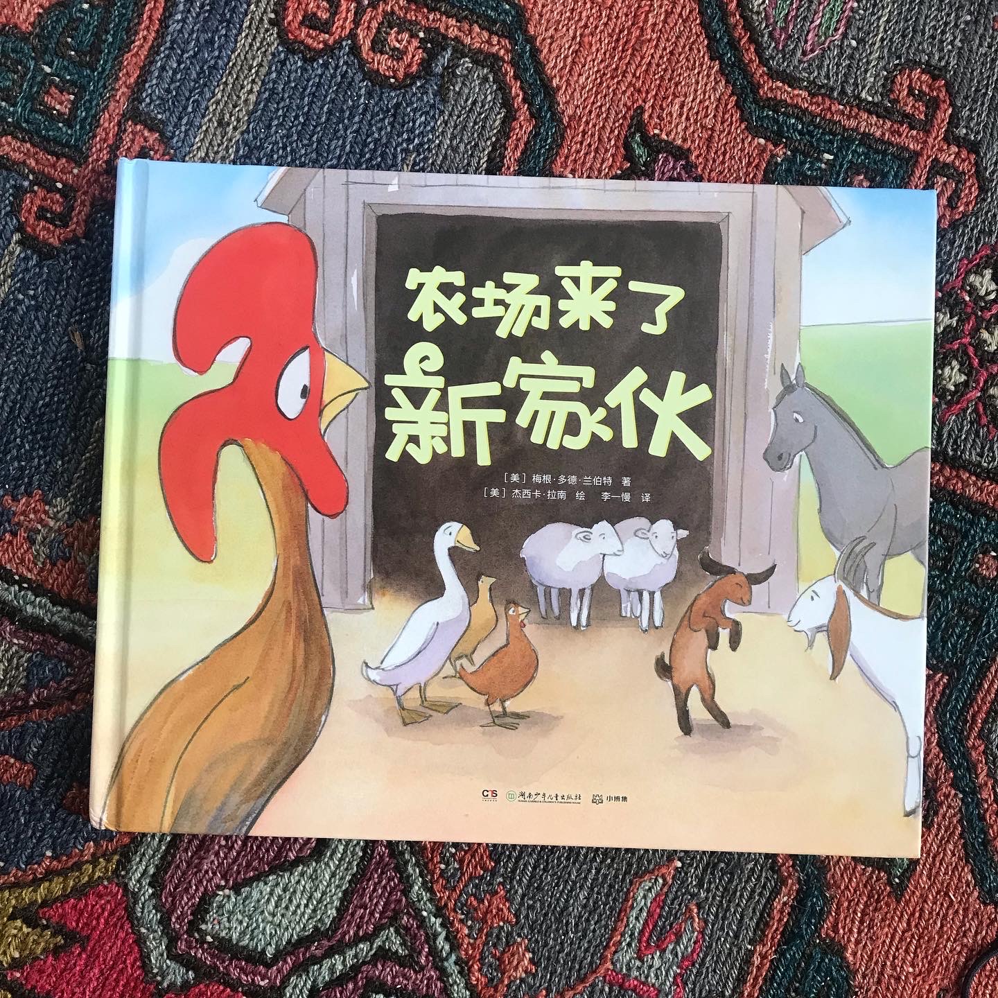 Photograph of the cover of A Kid of Their Own in Mandarin Chinese Translation.
