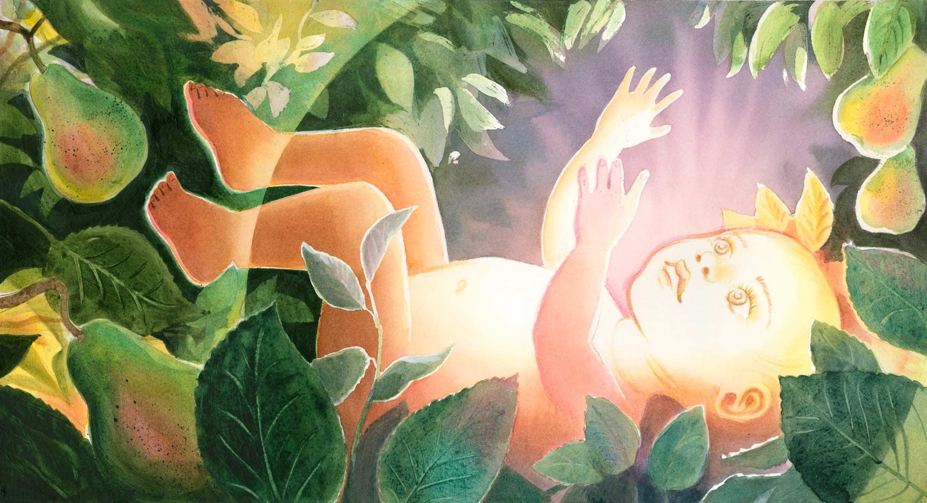 Watercolor mixed media illustration by Jessica Lanan from 'Before You Were Here' showing a closeup of a baby reaching up and shining with light, framed by leaves and ripe pears.