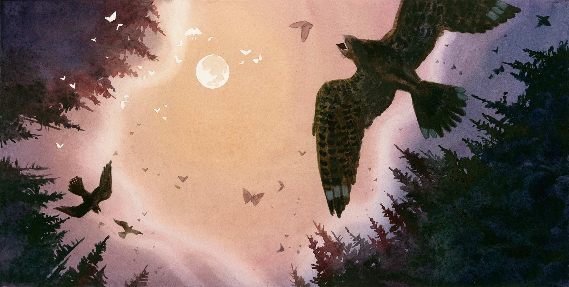 Watercolor illustration by Jessica Lanan from 'Thank You Moon' showing a cloudy sky with a full moon. Nightjars circle in the sky chasing moths. The scene is framed by dark trees.