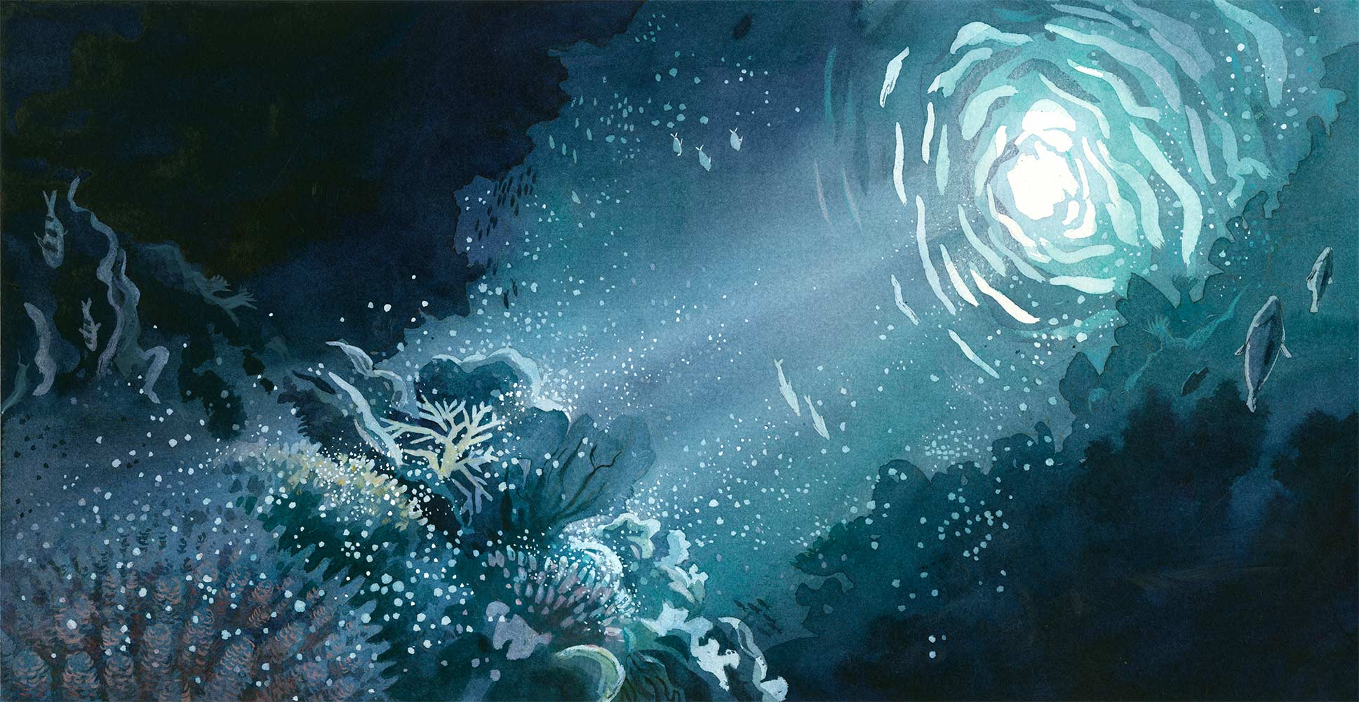 Watercolor illustration by Jessica Lanan from 'Thank You Moon' showing a coral reef at night. Moonlight filters down through rippling water and illuninates the coral below which is spawning. The scene is framed by dark rocks and fish.