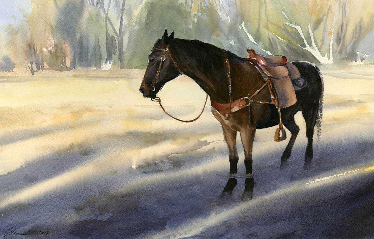 Watercolor painting of a brown horse wearing bridle and saddle, hobbled with rope, standing in shade and sunlight in an open field.