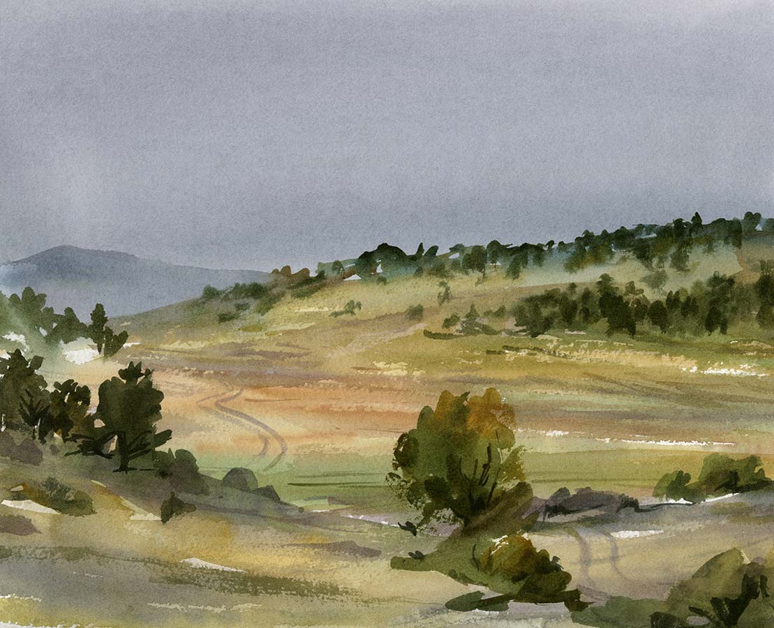 Watercolor plein air painting of hills with meadow and pine trees in green and gold, with gray rain clouds in the distance