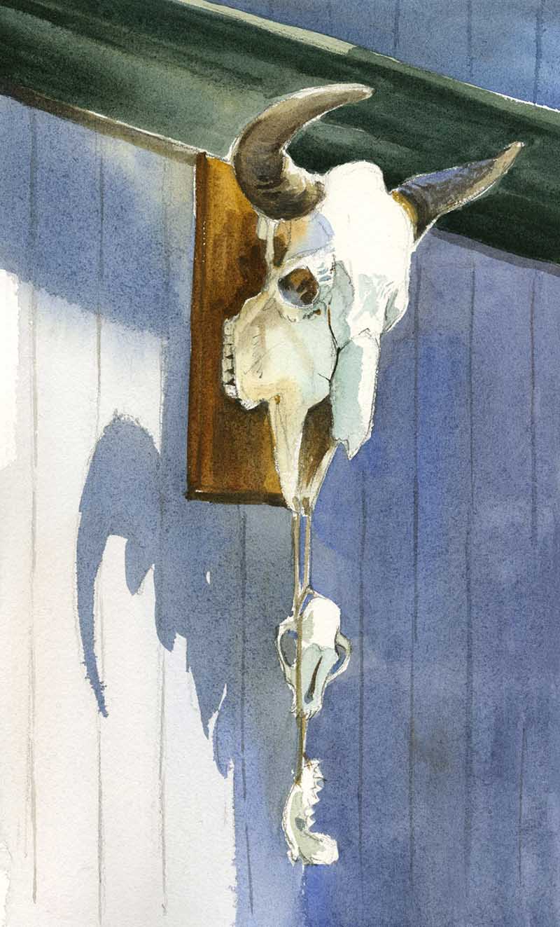 Watercolor painting of a bison skull against a wall.