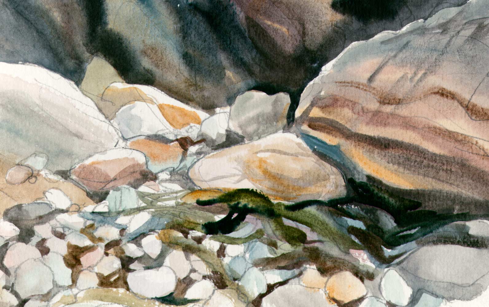 Loose and expressive watercolor sketch of rounded rocks in a variety of colors and sizes and seaweed.