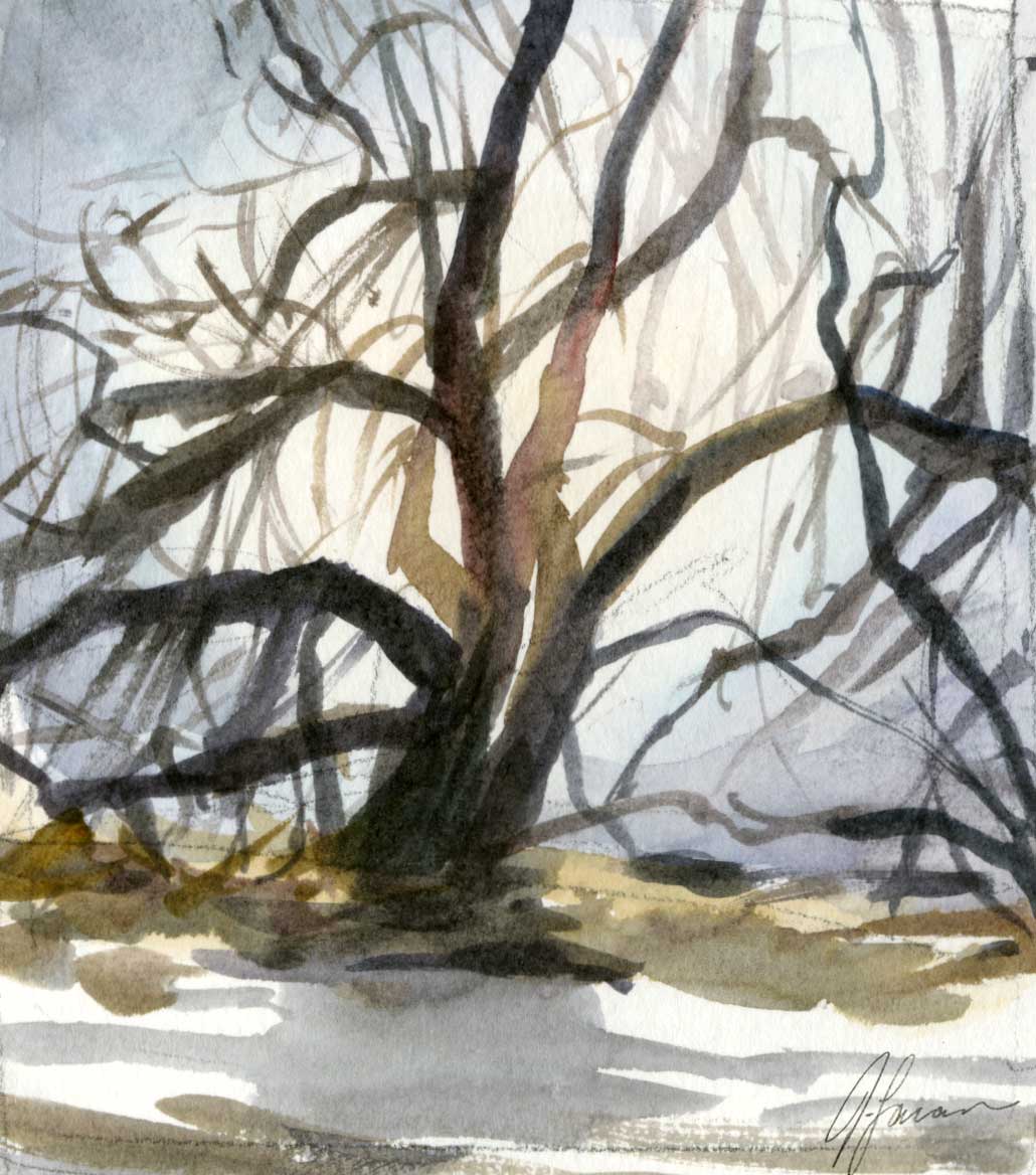 Watercolor sketch of a tree with bare branches lit from behind by the sun with snow in the foreground